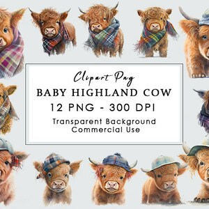 Pacote de ilustrações de vaca fofa de bebê Highland com 12 PNG para artesanato digital e artesanato em papel, lenço e chapéu de aquarela bebê Highland Cow clipart