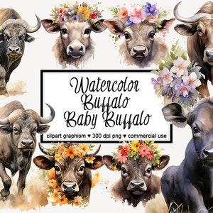 Buffalo PNG Clipart di bufalo africano Clipart di bufalo dell'acquerello Baby Buffalo con fiori Clipart Safari Animal Clipart PNG di animali africani