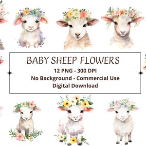Baby Sheep Flowers Illustrations Set of 12 PNG, Watercolor Baby Sheep Clipart, Nursery Art, Commercial Use, Digital Download
