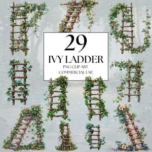Ivy Ladder Clipart, Enchanted Forest Clipart, Fairy Forest Clipart, Climbing Ivy Vines Clipart, Fairy Ladder Clipart, Watercolor Ivy PNG Art