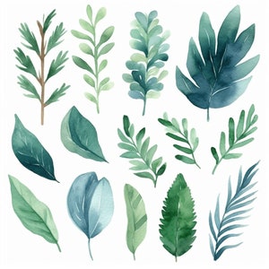 Natural Elegance: 14 Evergreen Green Leaf Clipart Set | Nature-Inspired Digital Art for DIY Projects, Invitations & More
