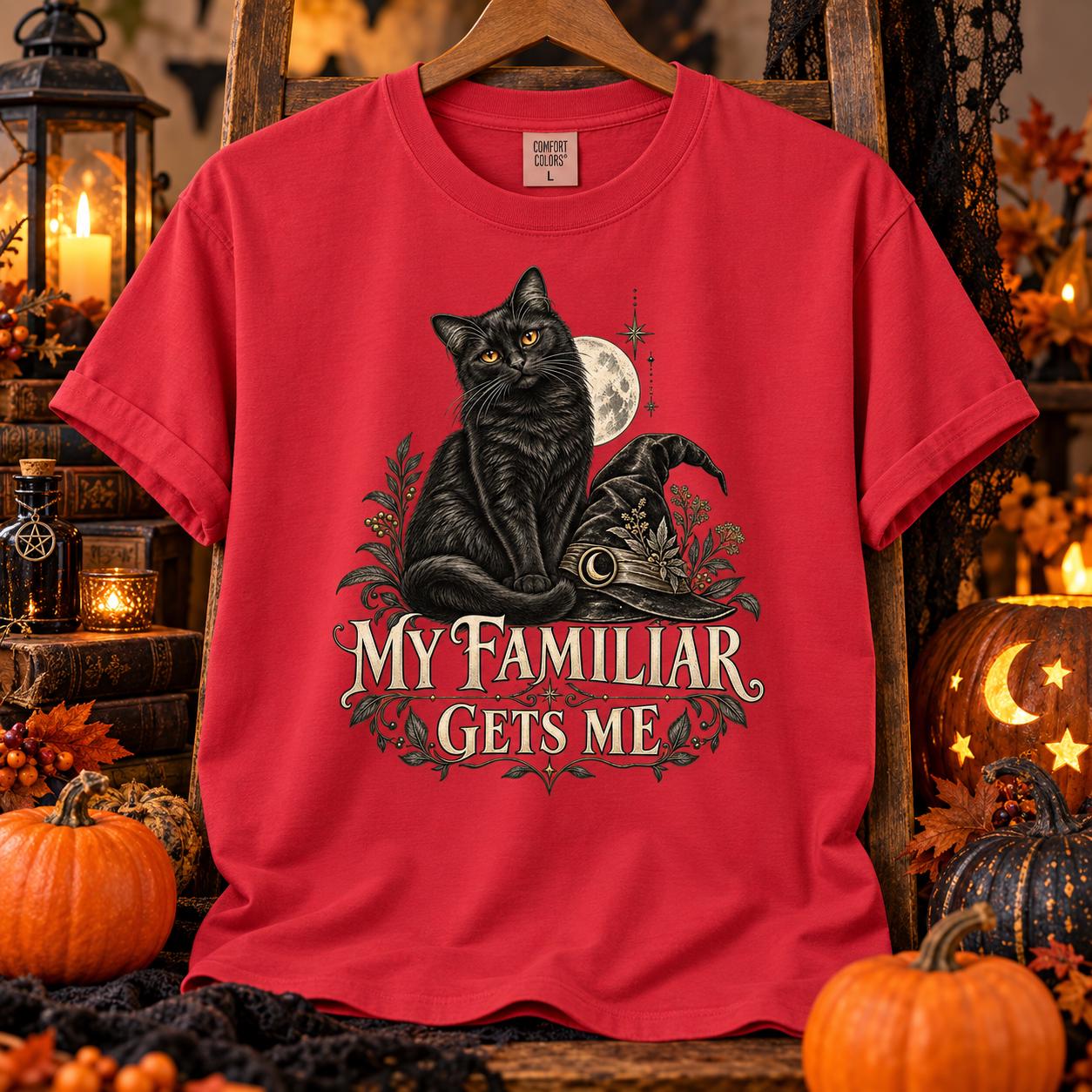 My Familiar Gets Me Shirt, Black Cat Witch Halloween Tee, Gothic Cat Lover T-Shirt