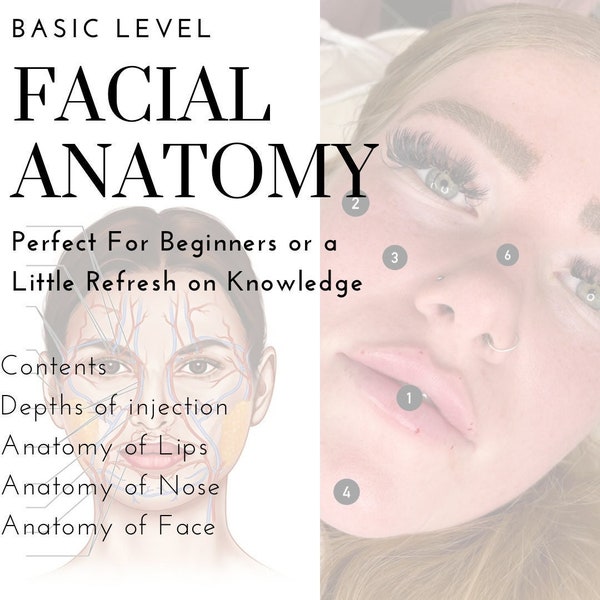 Facial Injection Anatomy Etsy