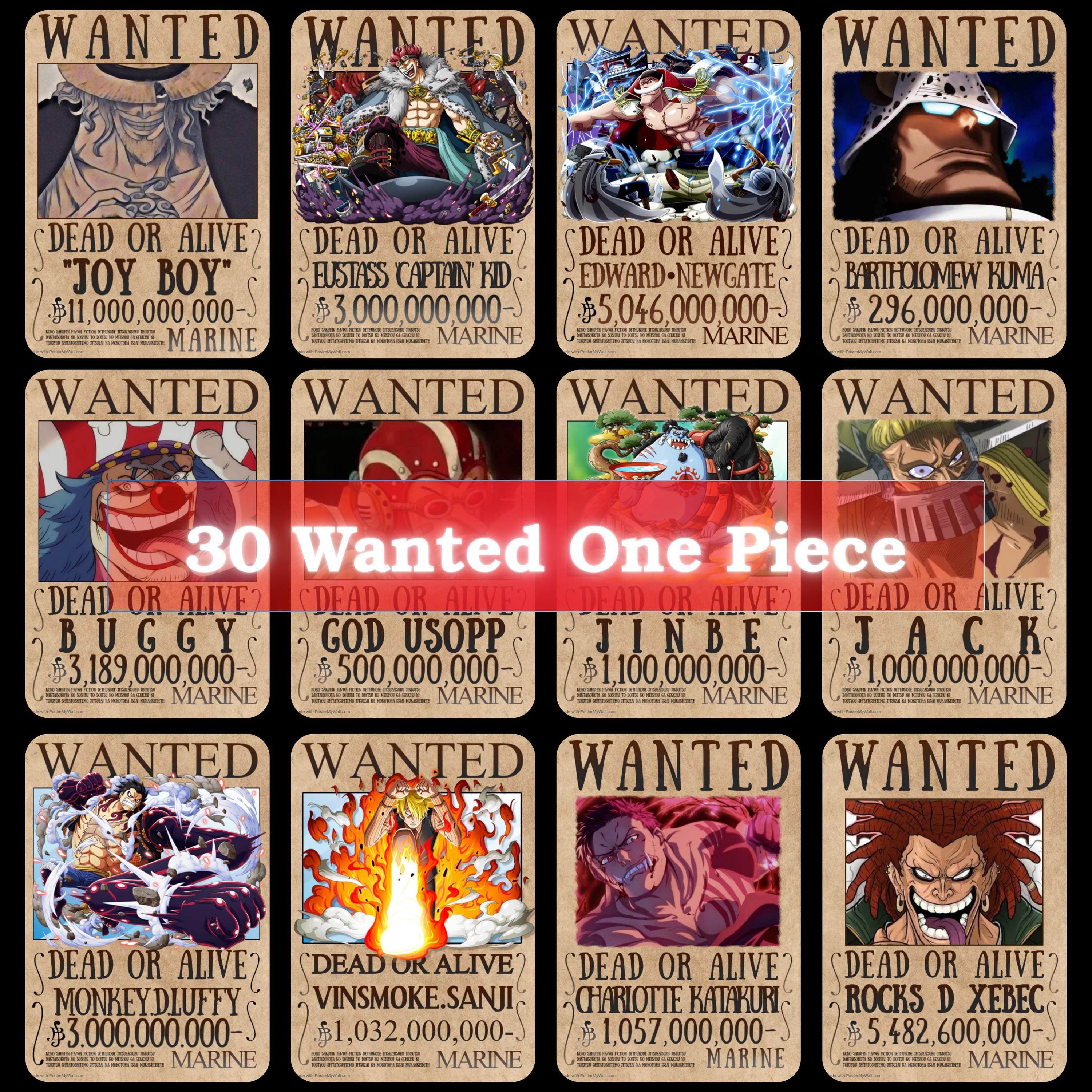 One piece wanted poster - Etsy 日本