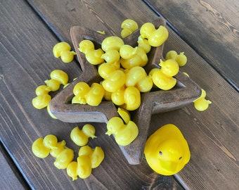 Ducks Wax Melt Brittle, Over 40 Scents to Choose From