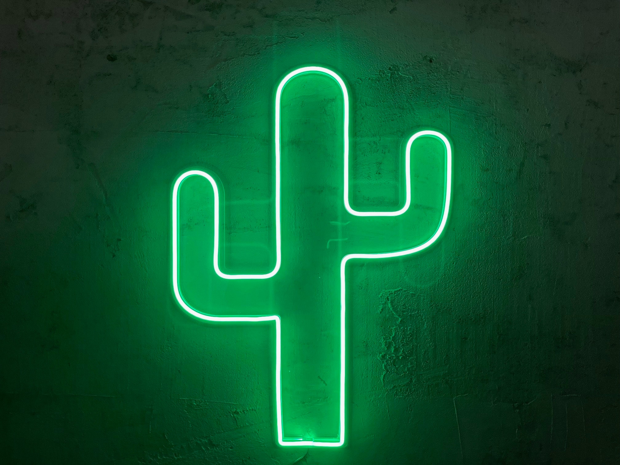 Cactus Neon Sign: Green Neon Wall Decor (60cm) - Etsy