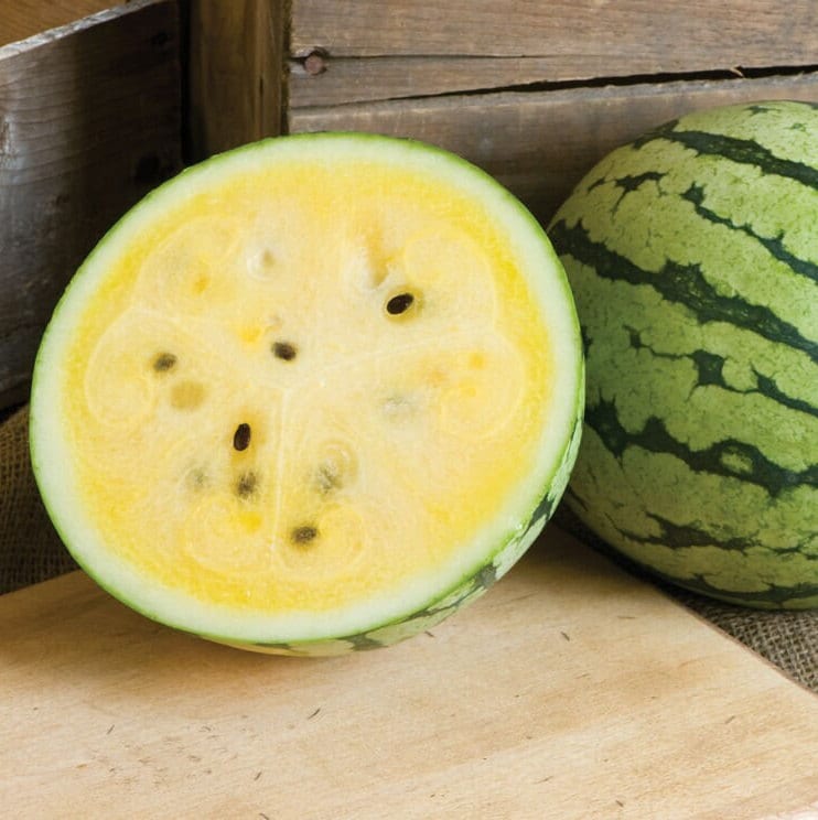 Semi Anguria Gialla Janosik - Citrullus Lanatus, Provenienza UE, Controllati 4 Fasi - Foto 11