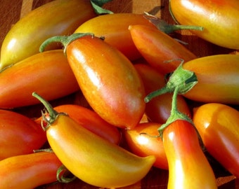 Tomato ‘Indigo Pear Drops’, 10 seeds (Solanum lycopersicum) Vegetable Heirloom