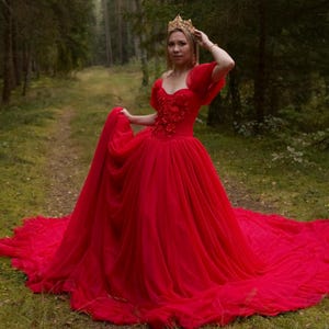 Embroidered Tulle Corset Dress: Long Train Gown, Detachable Sleeves