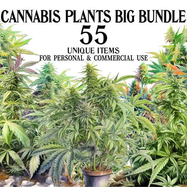 Cannabis Plants Clipart Bundle - 55 Watercolor Marijuana Art PNGs - Marijuana Plants Digital Download for Decor, Scrapbook, Invitations