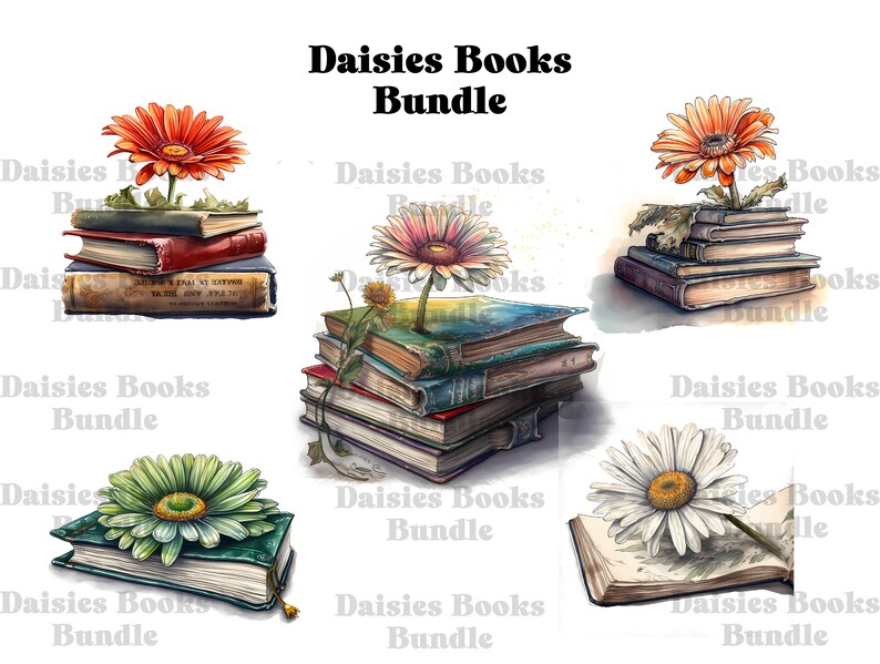 Daisies Book Clipart Big Bundle 18 Watercolor Daisies Books Etsy
