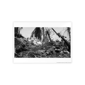US Marines in Action in the Pacific Campaign World War II Flamethrower Matte Wall Art Picture Print 3 Sizes Available 24x36 18x24 12x18
