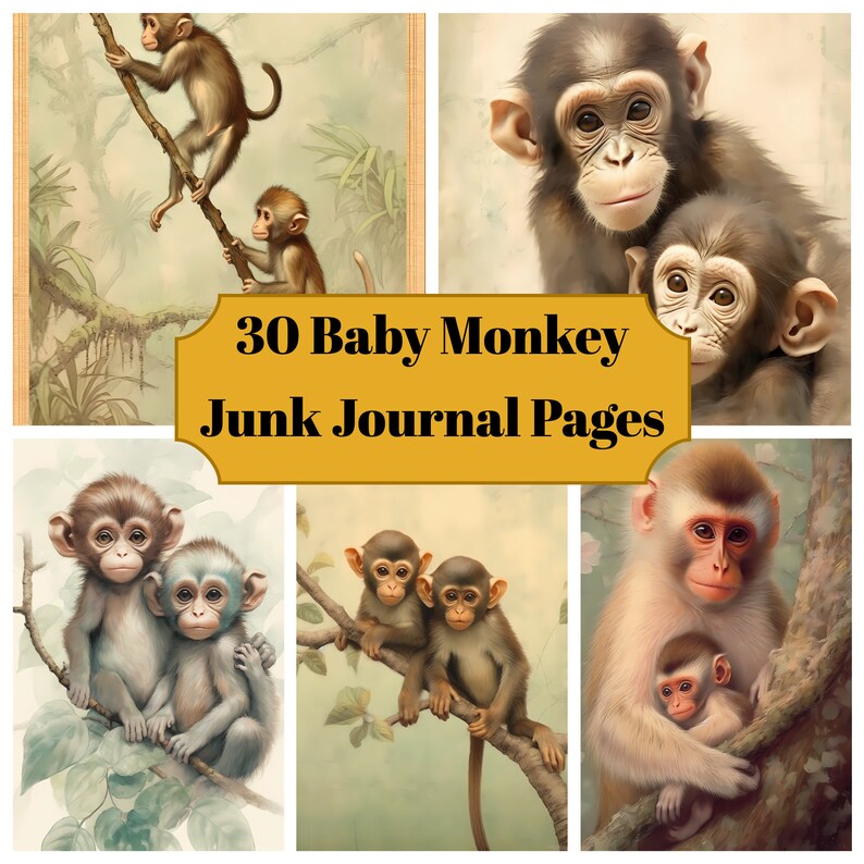 30 Baby Monkey Junk Journal Pages Printable Baby Monkeys Junk Journal