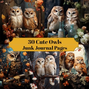 30 Owl Junk Journal Pagina's - Afdrukbaar Animal Junk Journal voor Scrapbooks - Digitale download voor afdrukbare kaarten & Ephemera