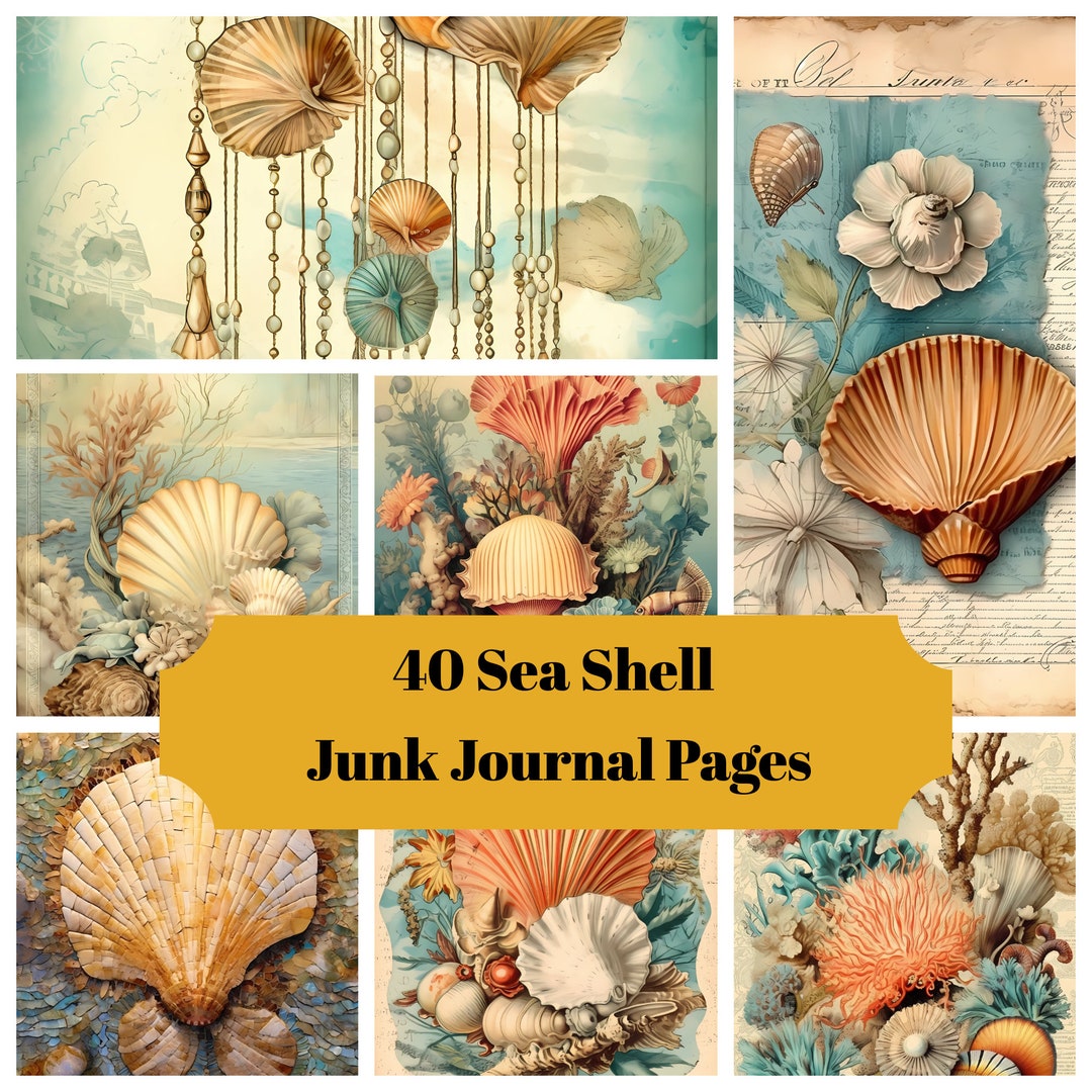 40 Sea Shell Journal Pages - Printable Sea Shells Junk Journal for ...