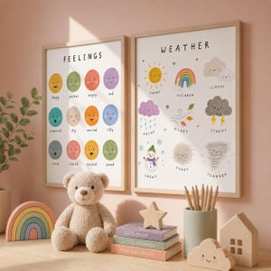 May include: Two framed educational posters, one labeled "Feelings" and the other "Weather", with illustrations. A plush teddy bear, wooden rainbow, star, books, pencils, and other decorative items are arranged in front of the posters.