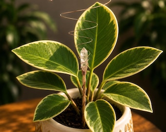 Electroculture Copper Stake – Quartz Crystal Antenna for Houseplants – Handmade Indoor Garden Growth Rod