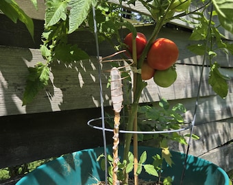 Large 15″ Electroculture Antenna For Outdoor Plants