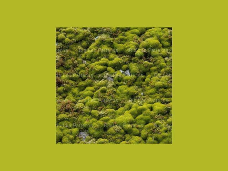 10 Moss Texture Tile Pack Seamless Square Patterns 1024px Instant 10-moss-texture-tile-pack-seamless-square-patterns-1024px-instant
