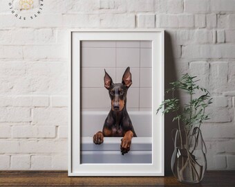 Puede incluir: Un perro Doberman Pinscher negro y marrón sentado en una bañera blanca, mirando directamente a la cámara. Las patas del perro descansan en el borde de la bañera. El perro está en una fotografía enmarcada.