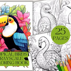 25 Tropische Vögel | Malbuch | Graustufen Malvorlagen Für Erwachsene und Kinder | Digitaler Stempel | Sofort Download | Druckbare PDF-Datei