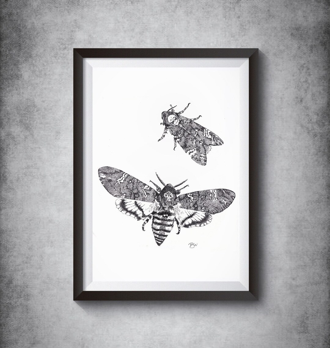 Deaths-head Hawk Moth Wall Art Animal Art Art Prints - Etsy