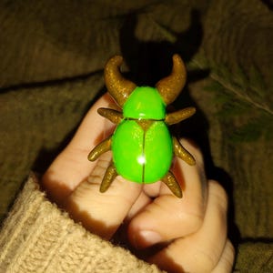 ミドリツノコガネムシ、粘土ピン/昆虫ピン。甲虫ピン