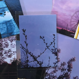 Cartolina "Luna e fiori" - Fotografia artistica con telefono cellulare, Scena di strada al tramonto, Estetica nostalgica, Attraversamento pedonale, Arte del regalo, Amanti della natura