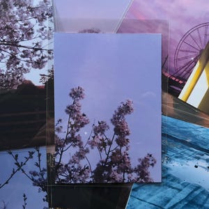 Cartão-postal de flor de cerejeira – Fotografia artística com flip phone, cena de pôr do sol na rua, estética nostálgica, pós-cruzamento, arte para presentear e amantes da natureza