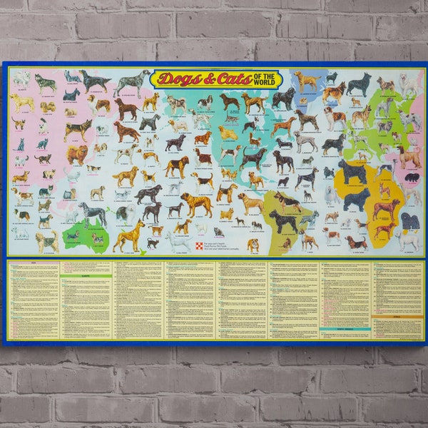 Dogs and Cats of the World - Pictorial Map (1973) Veterinary Office Decor - Canvas or Poster Print