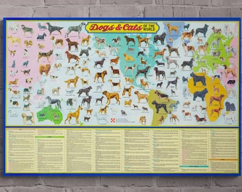 Dogs and Cats of the World - Pictorial Map (1973) Veterinary Office Decor - Canvas or Poster Print