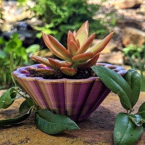 Desk Planter // Customizable // 3D Printed