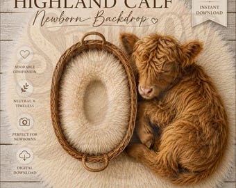 Highland Calf Newborn Digital Backdrop Baby Basket Composite Background JPG Download