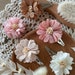 see more listings in the hair clips section