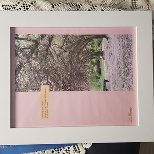 Poem Poster Sampler, Three 8x10 laser-print, signed posters