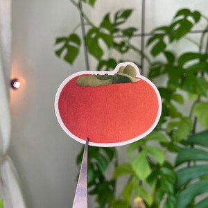 persimmon sticker