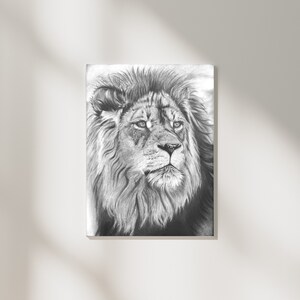 Charcoal Drawing wall art, Lion Charcoal drawing. Wild Life drawing. Gift Art Ideas.
