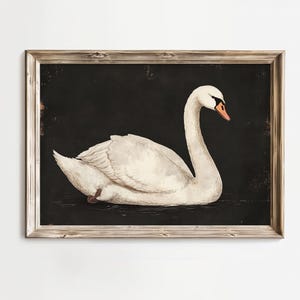 Vintage Swan Print: Elegant Bird Wall Art, Moody Home Decor (Digital Download)