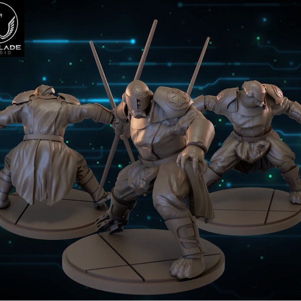 9th Sister - SW Shatterpoint Compatible (40mm) Resin 3D Print - War Blade Studios