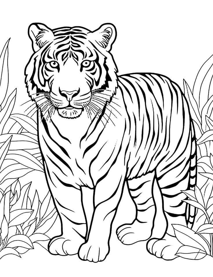 10 Animal Coloring Pages, Printable Coloring Pages, Cute Coloring