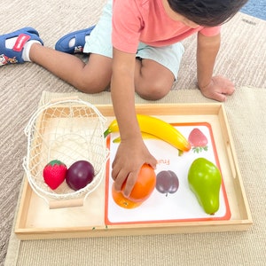 Montessori Printable Fruit matching work