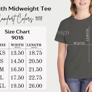Comfort Colors® One Silly Goose 1st Birthday Matching Family Shirt, Mama Goose and Dada Goose Tees, Funny Goose Party Outfit, Gift For Mom image 14