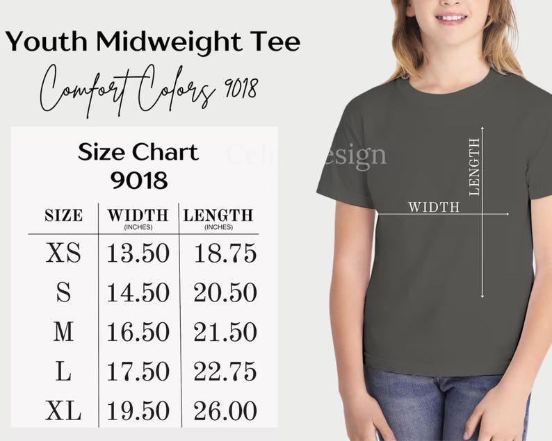 Comfort Colors® One Silly Goose 1st Birthday Matching Family Shirt, Mama Goose and Dada Goose Tees, Funny Goose Party Outfit, Gift For Mom image 14