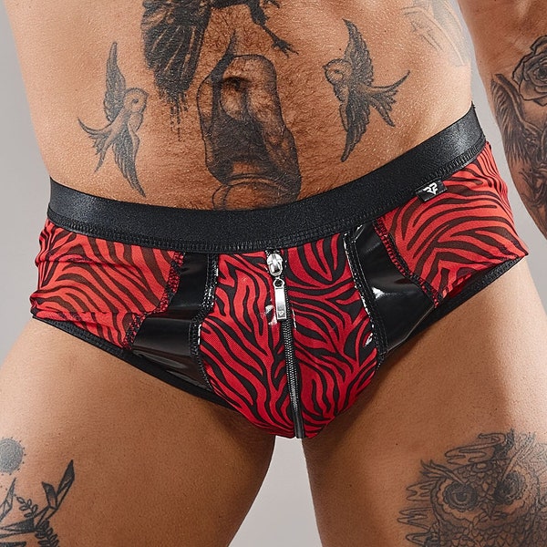 Mens Brief Mesh and Vinyl