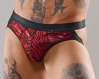 Mens Jock Briefs in Mesh and Vinyl