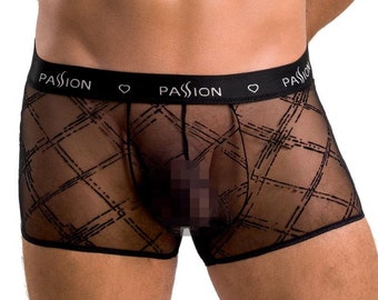 Mens Boxer Briefs Sheer Mesh