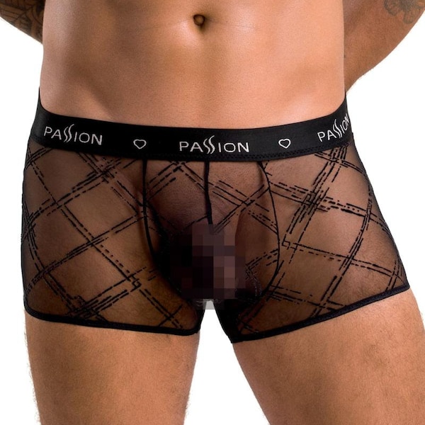 Mens Boxer Briefs Sheer Mesh