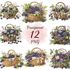 Blackberry PNG Clipart-paket, akvarell bärclipart, Cottagecore-fruktkorg, hallon-PNG, bärkonst, sommarbondgård