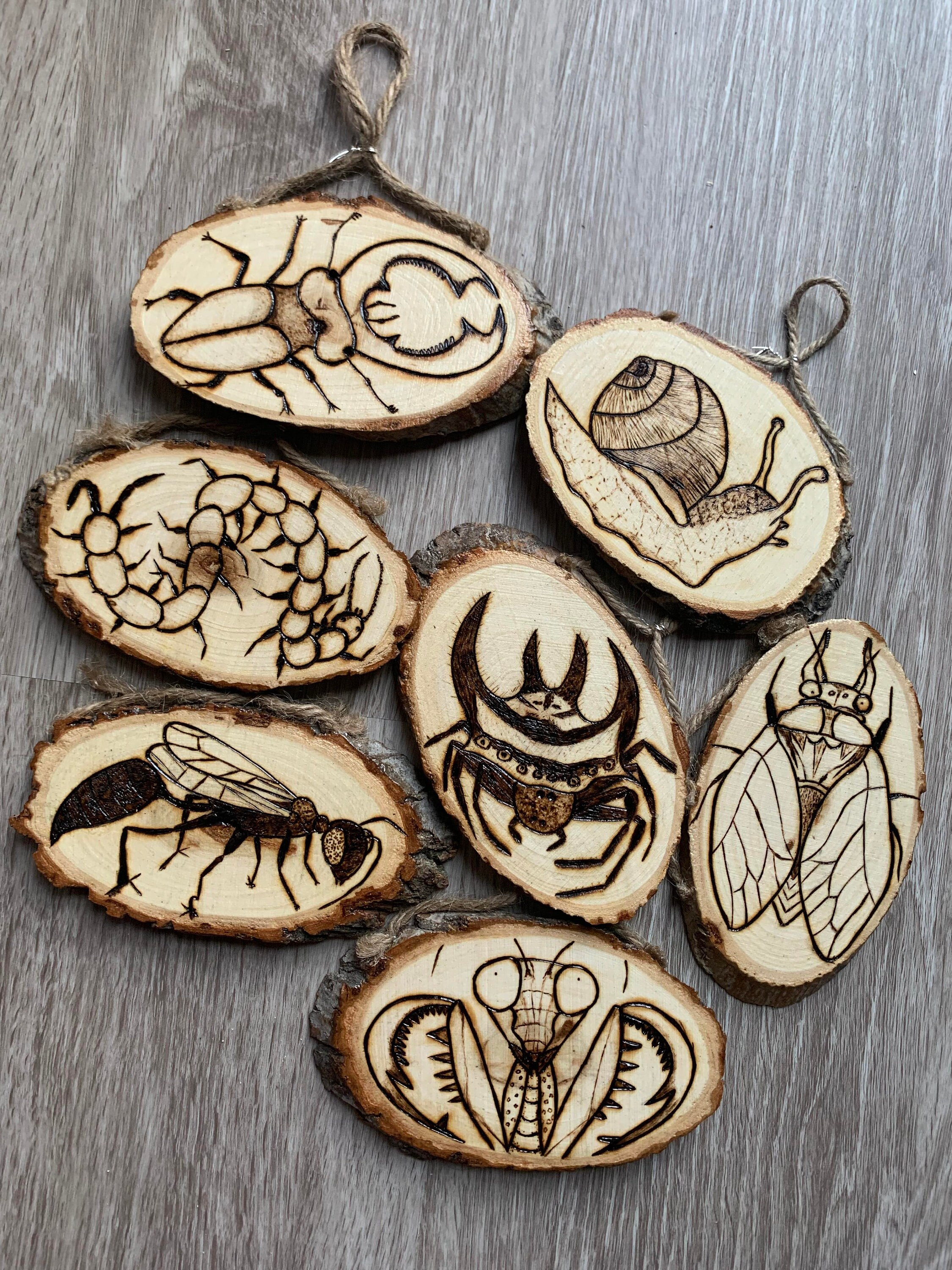 Creepy Crawler Insects pyrography Wood-burned - Etsy