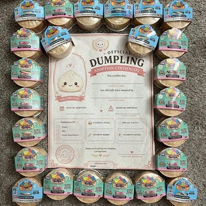 May include: A collection of twenty-four round, tan-colored Mystery Dumpling toy containers arranged in a rectangular border around a central Official Dumpling Adoption Certificate. The certificate features a cartoon dumpling illustration and blank fields.